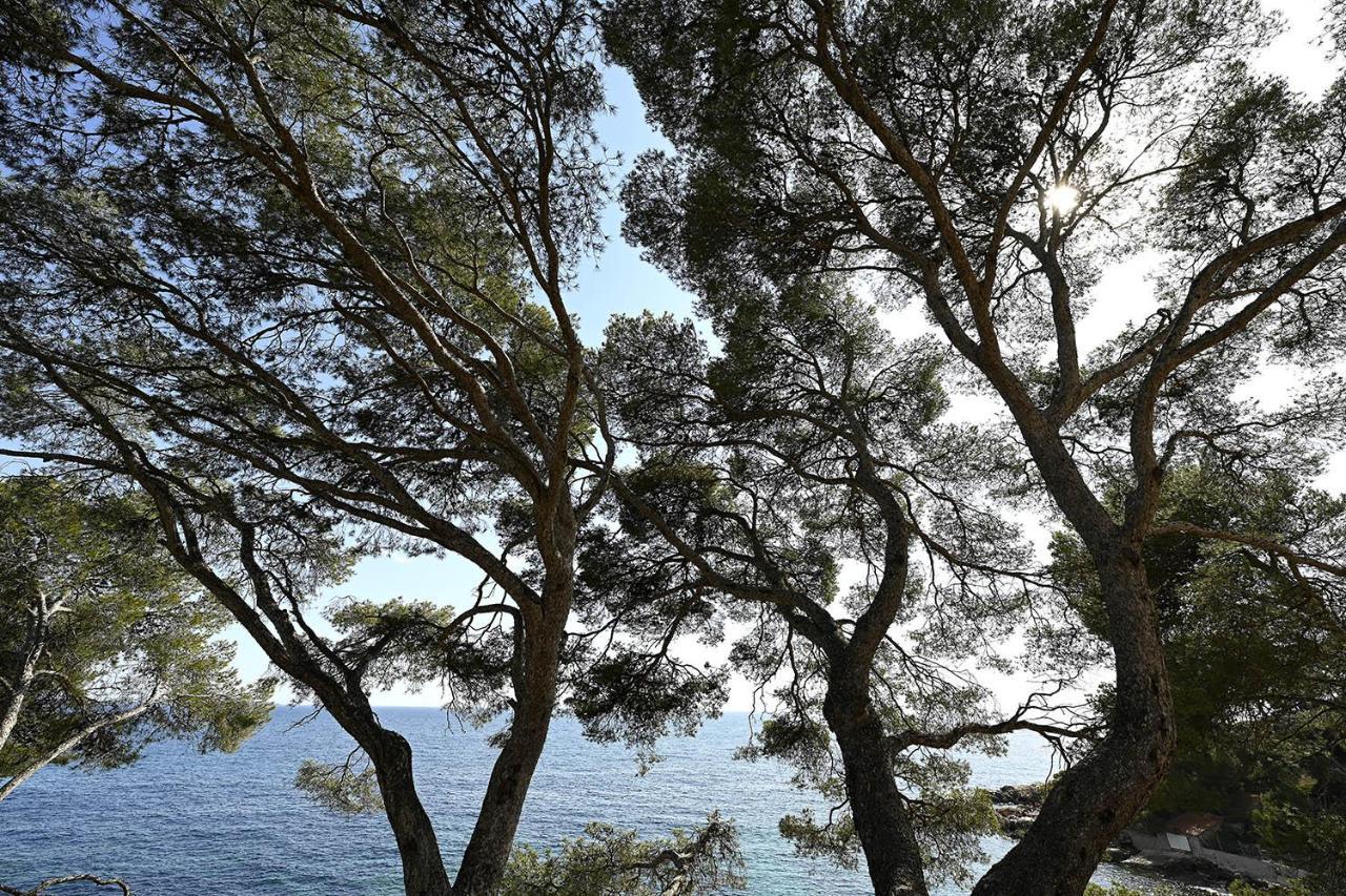 Charmant Studio 2A4 Pers Avec Jardin Et Place De Parking Situe A 5 Min A Pied De La Mer Бандол Екстериор снимка